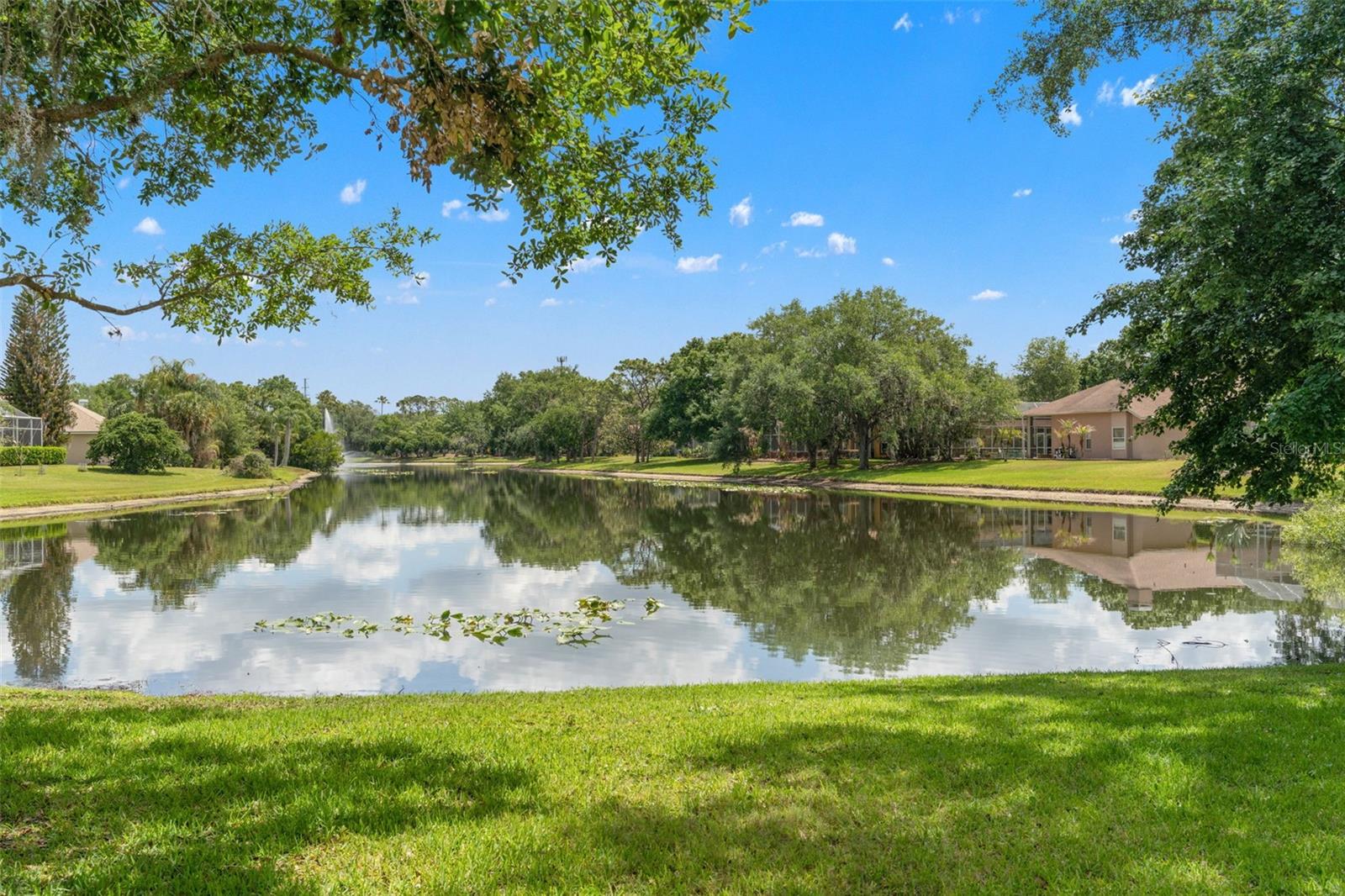 5021 WESLEY DR, TAMPA, FL, 33647