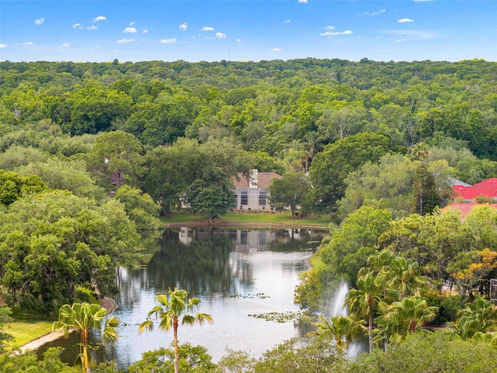 5021 WESLEY DR, TAMPA, FL, 33647