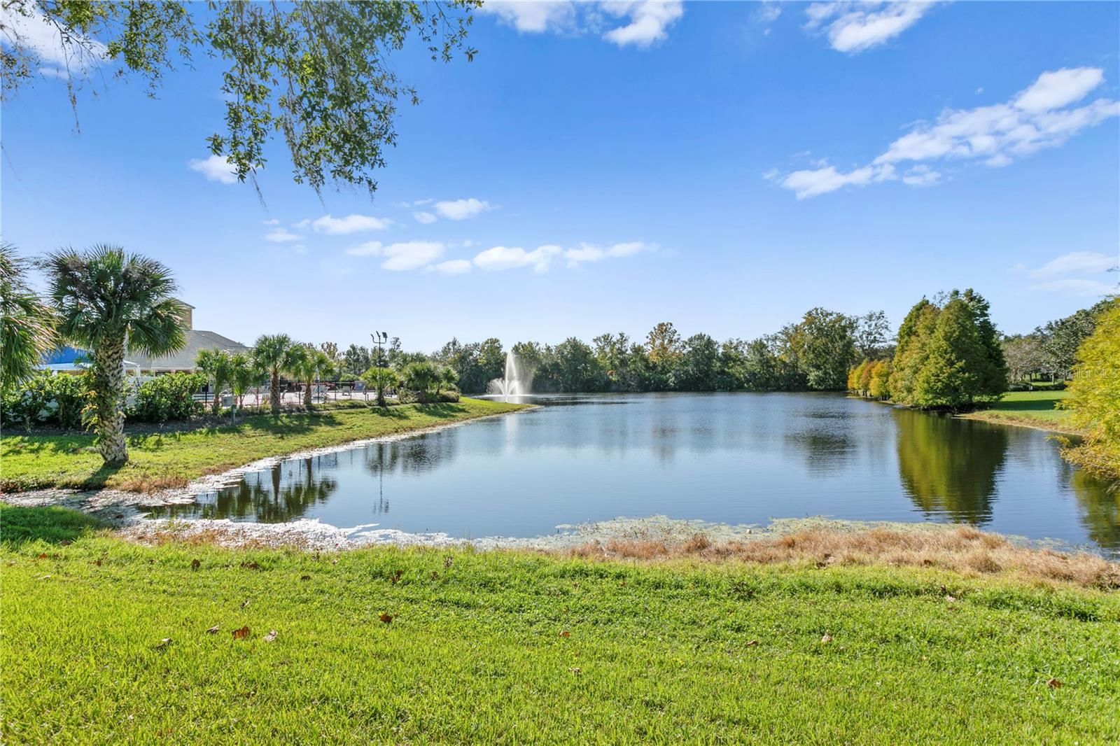 5021 WESLEY DR, TAMPA, FL, 33647