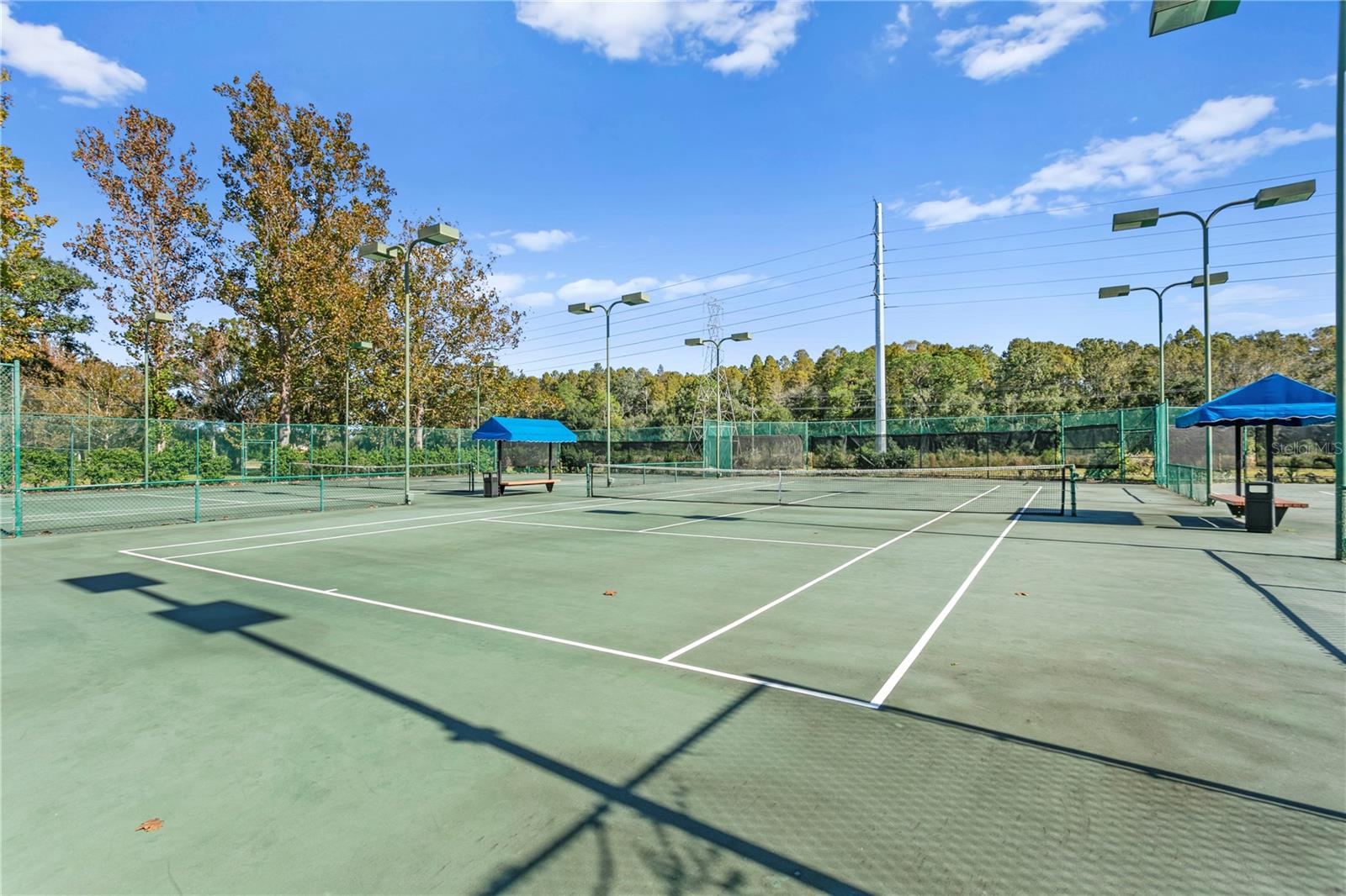 5021 WESLEY DR, TAMPA, FL, 33647