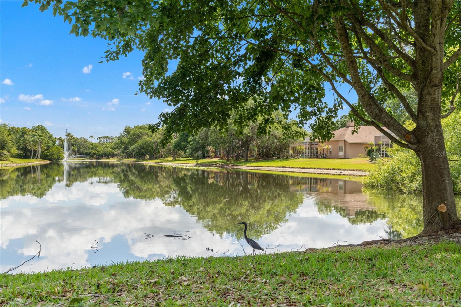 5021 WESLEY DR, TAMPA, FL, 33647