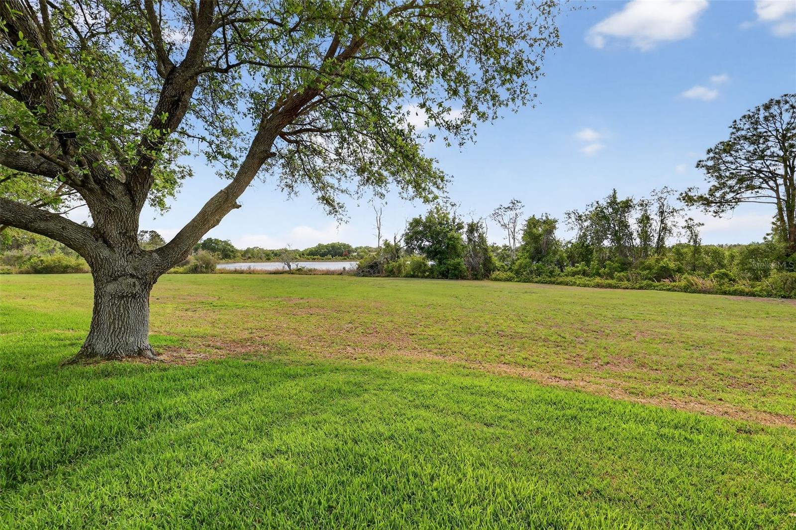 22149 DRAW BRIDGE DR, LEESBURG, FL, 34748