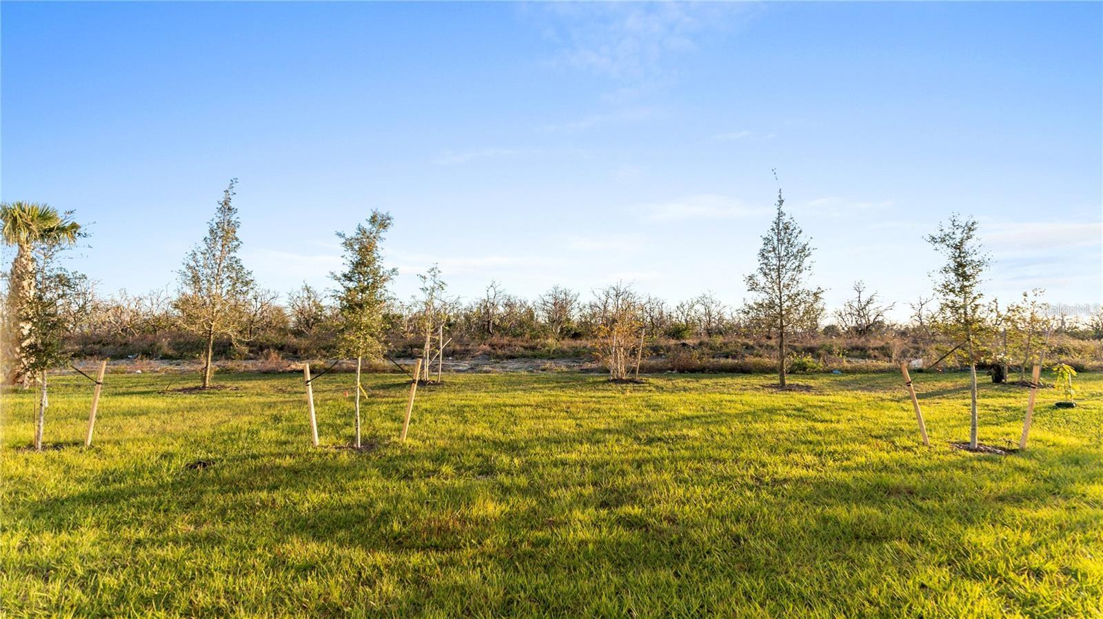14503 CRESTAVISTA AVENUE, CLERMONT, FL, 34714