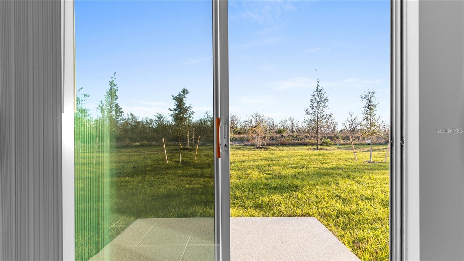 14503 CRESTAVISTA AVENUE, CLERMONT, FL, 34714