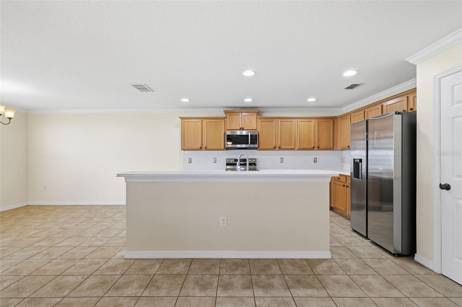 242 BLACK SPRINGS LN, WINTER GARDEN, FL, 34787