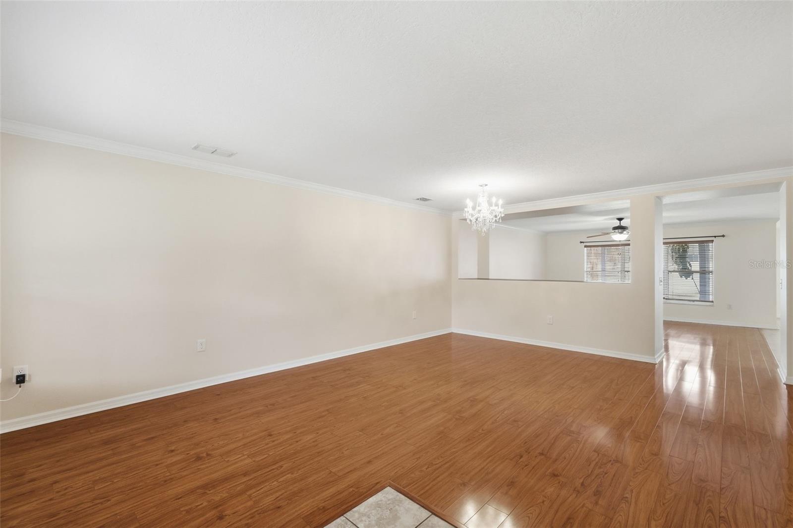 242 BLACK SPRINGS LN, WINTER GARDEN, FL, 34787