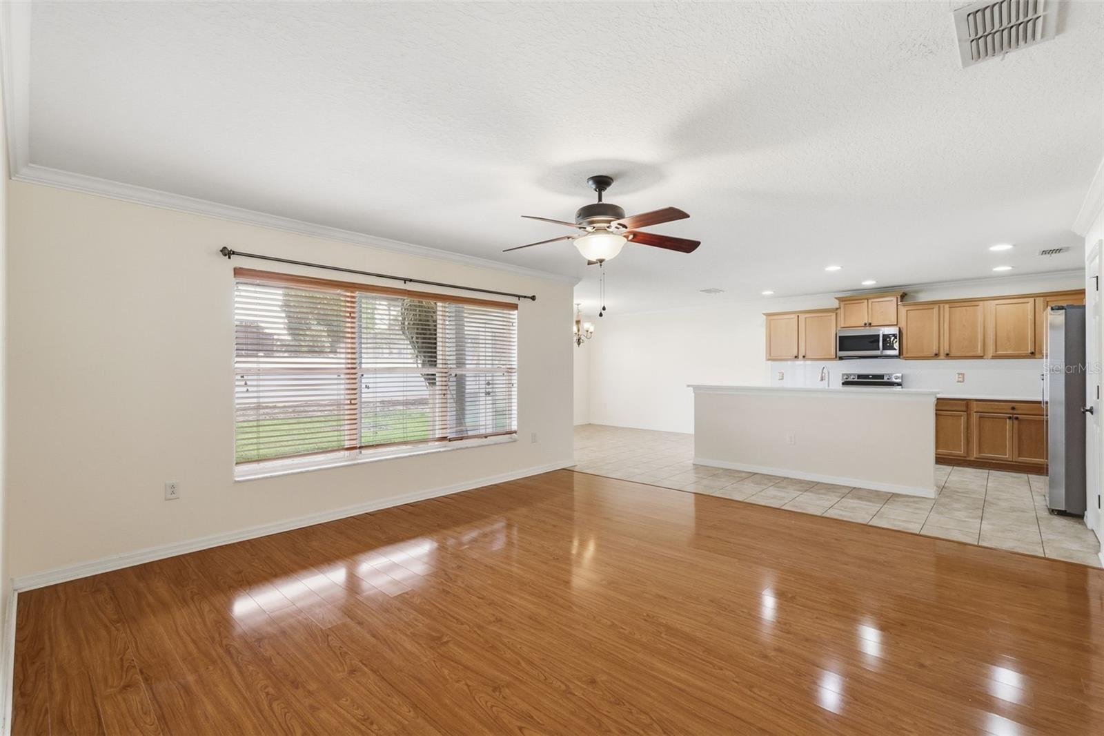 242 BLACK SPRINGS LN, WINTER GARDEN, FL, 34787