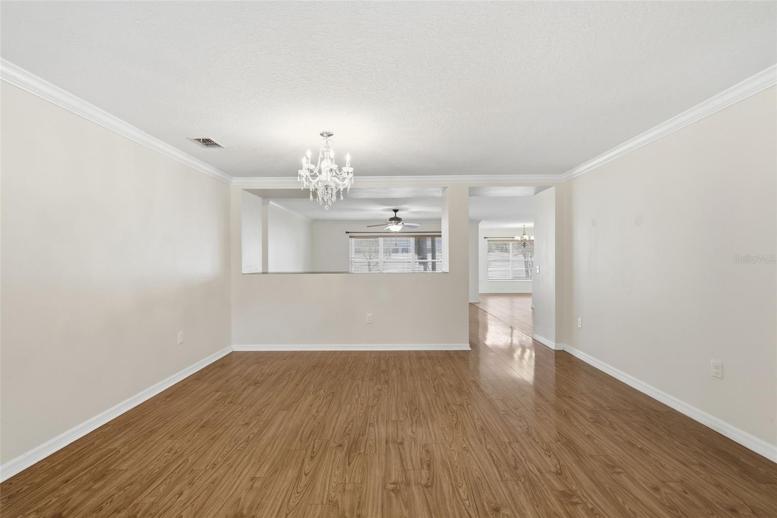 242 BLACK SPRINGS LN, WINTER GARDEN, FL, 34787
