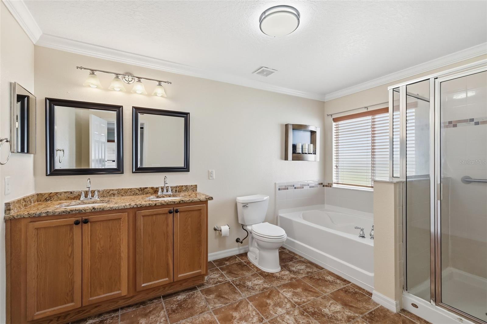 242 BLACK SPRINGS LN, WINTER GARDEN, FL, 34787
