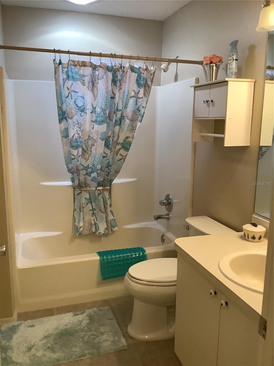 16962 SE 94TH SUNNYBROOK CIR, THE VILLAGES, FL, 32162