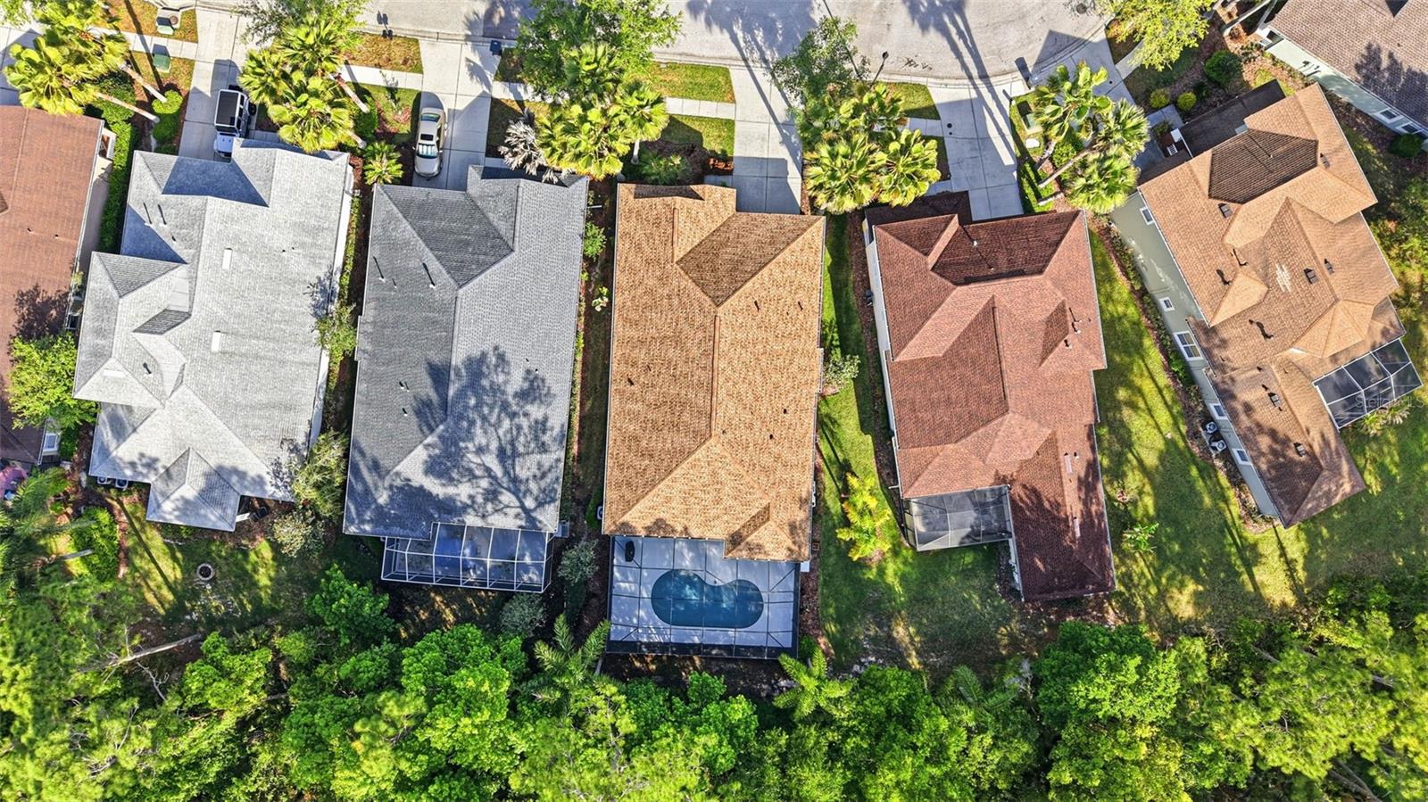 8123 CAMELLA LN, TAMPA, FL, 33647