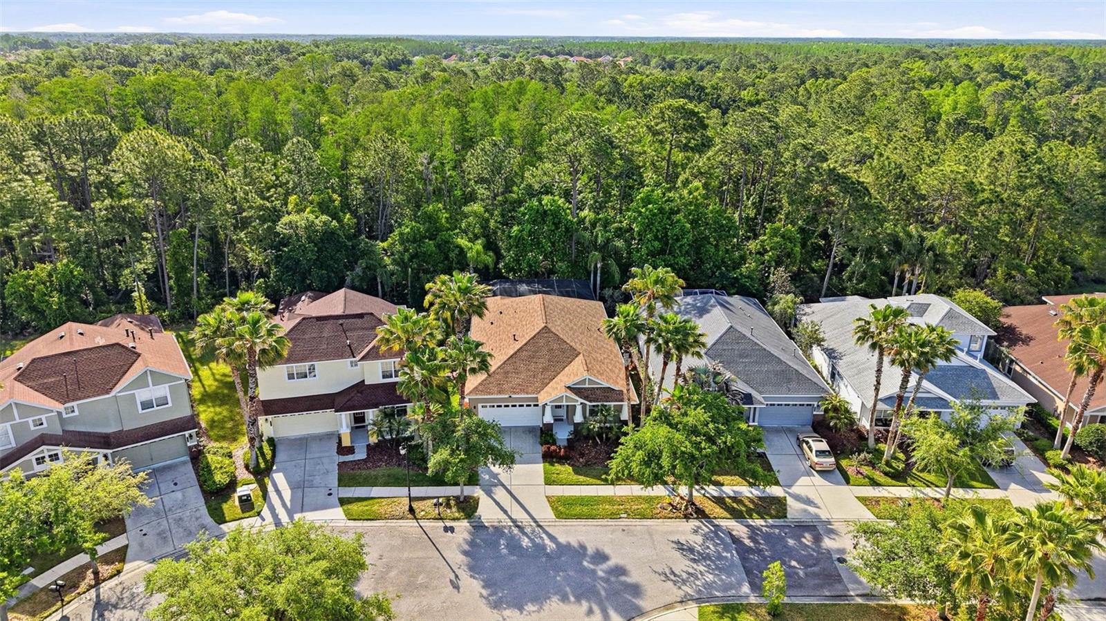 8123 CAMELLA LN, TAMPA, FL, 33647