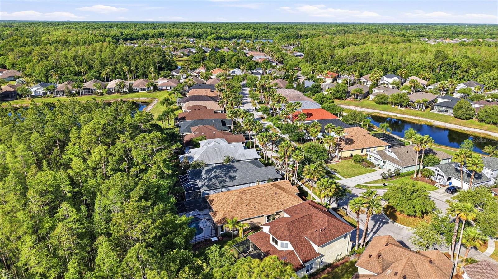 8123 CAMELLA LN, TAMPA, FL, 33647