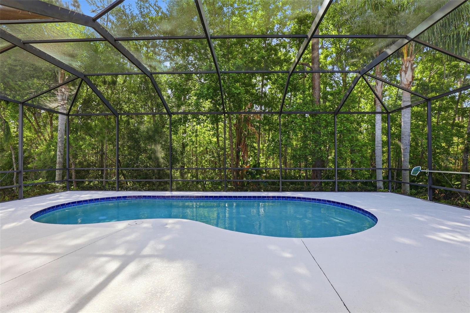 8123 CAMELLA LN, TAMPA, FL, 33647