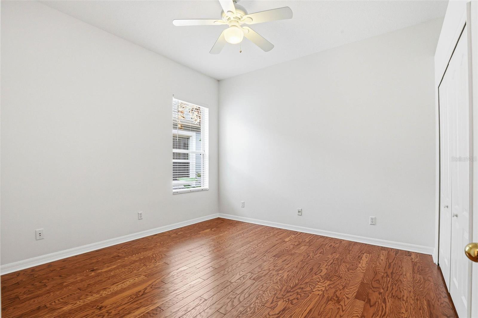 8123 CAMELLA LN, TAMPA, FL, 33647