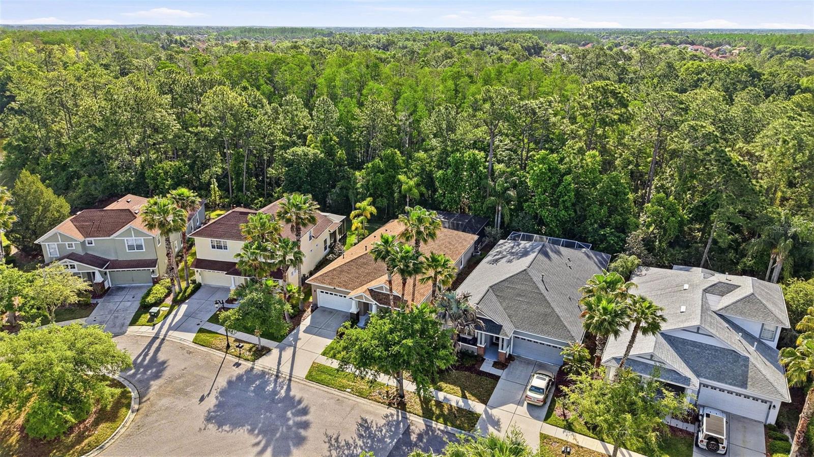 8123 CAMELLA LN, TAMPA, FL, 33647