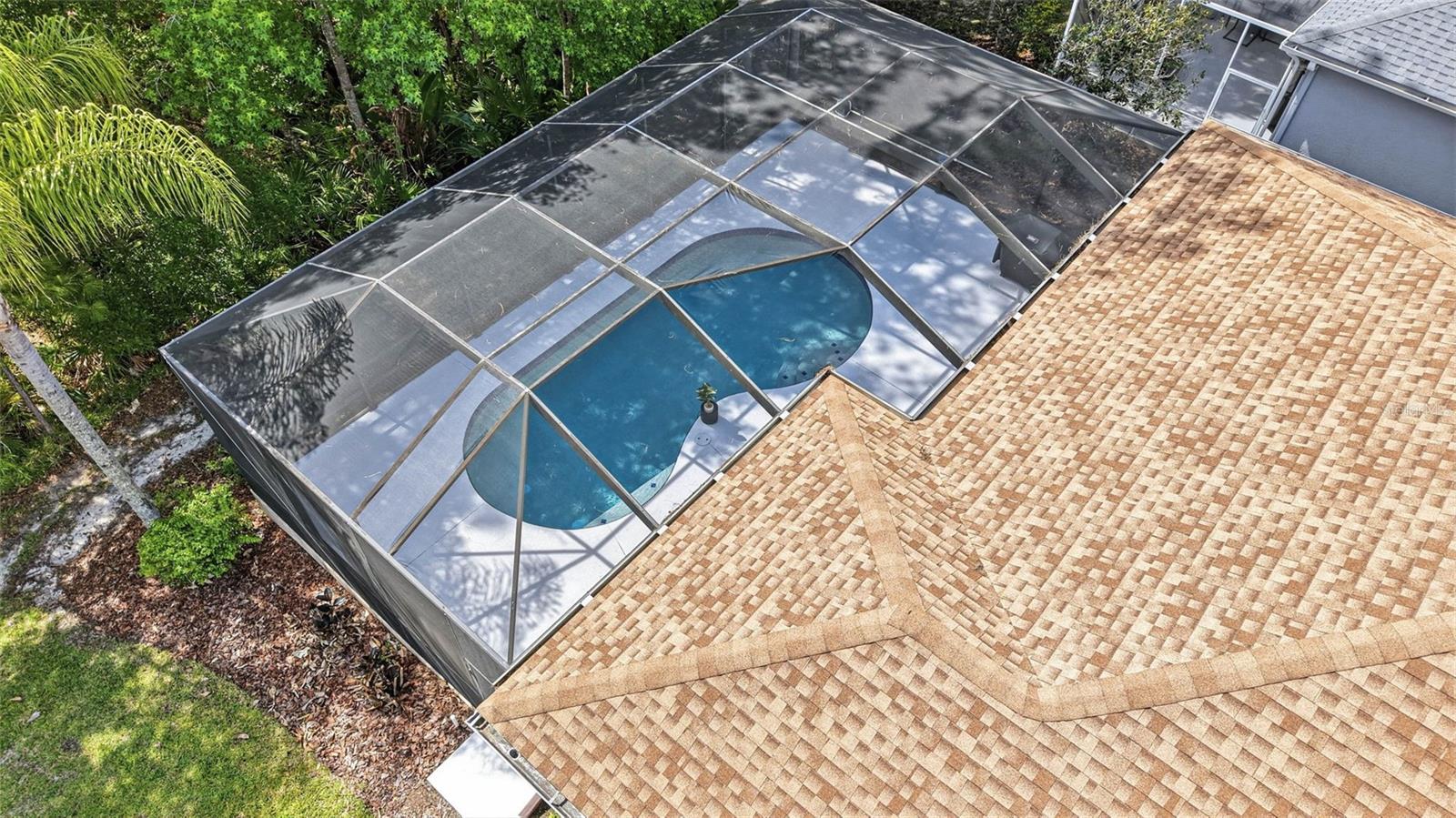 8123 CAMELLA LN, TAMPA, FL, 33647