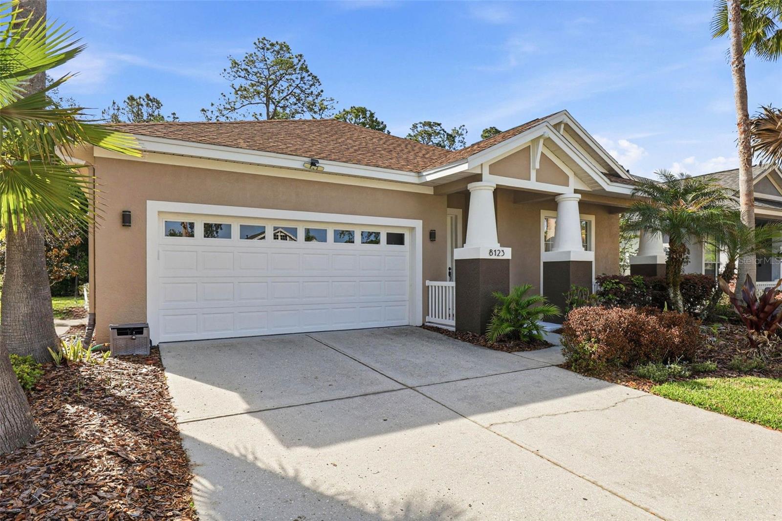 8123 CAMELLA LN, TAMPA, FL, 33647