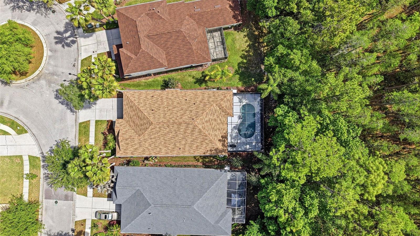 8123 CAMELLA LN, TAMPA, FL, 33647