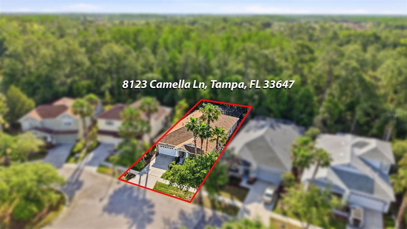 8123 CAMELLA LN, TAMPA, FL, 33647