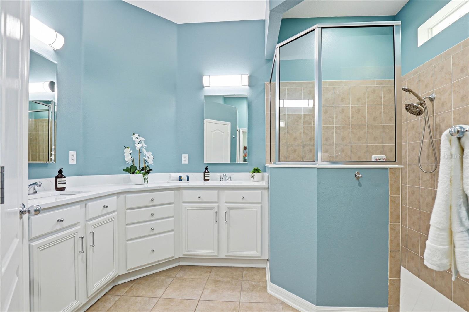 8123 CAMELLA LN, TAMPA, FL, 33647