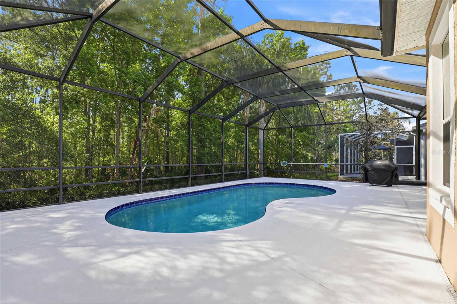 8123 CAMELLA LN, TAMPA, FL, 33647