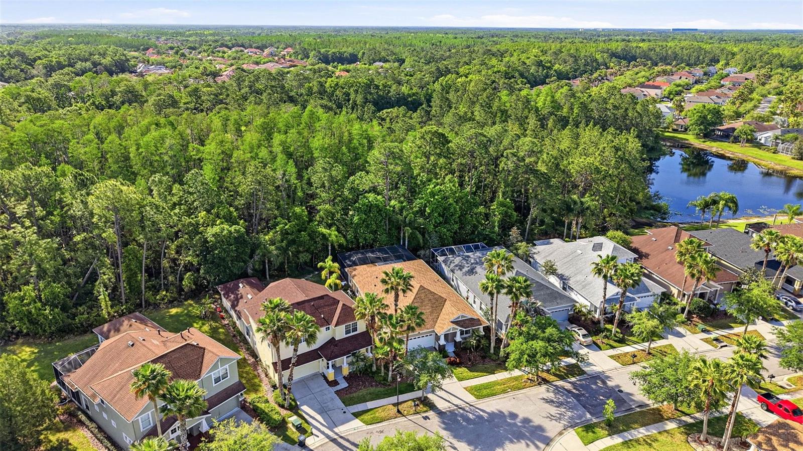 8123 CAMELLA LN, TAMPA, FL, 33647