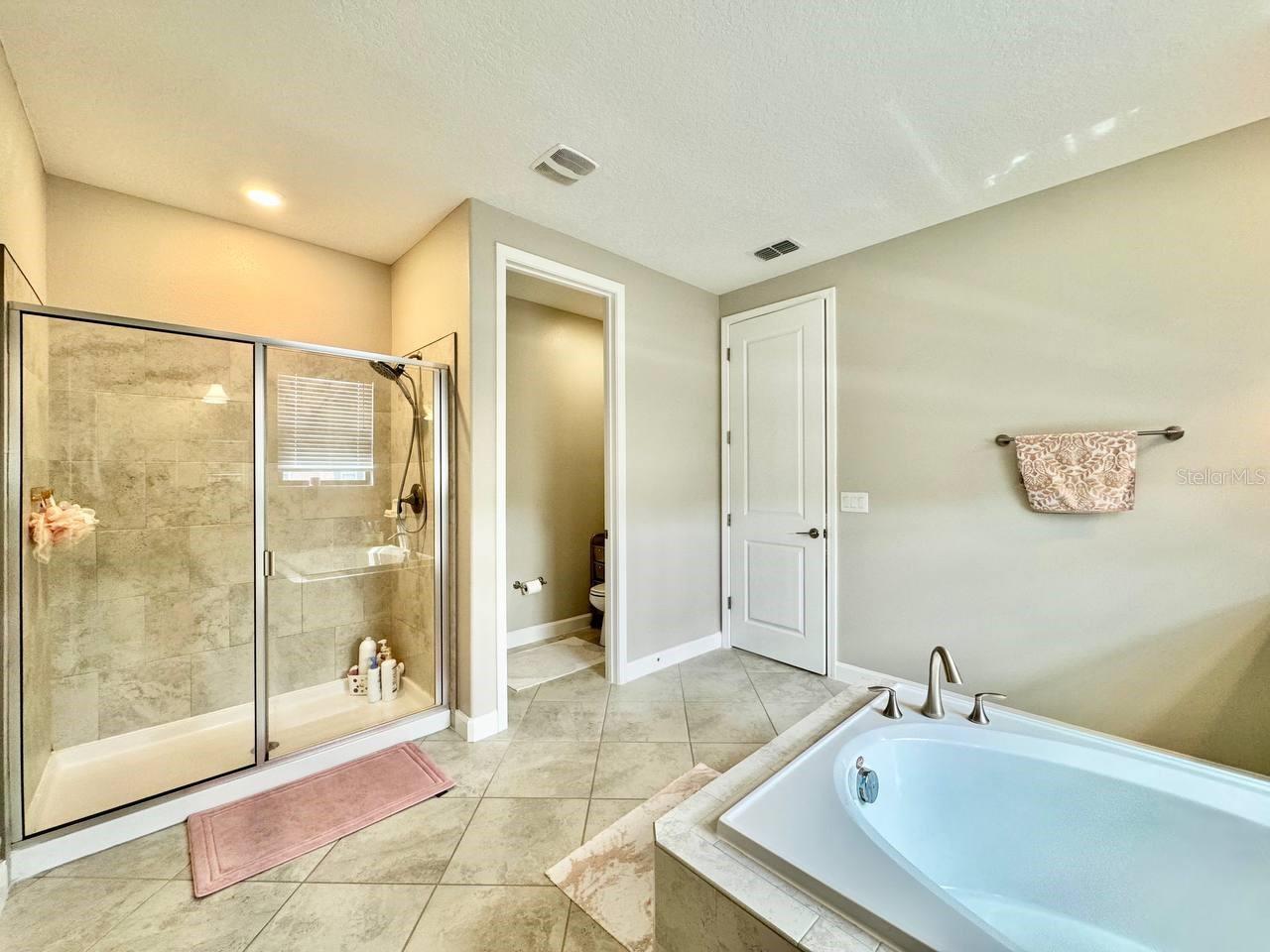2854 HILLIARD DR, WESLEY CHAPEL, FL, 33543