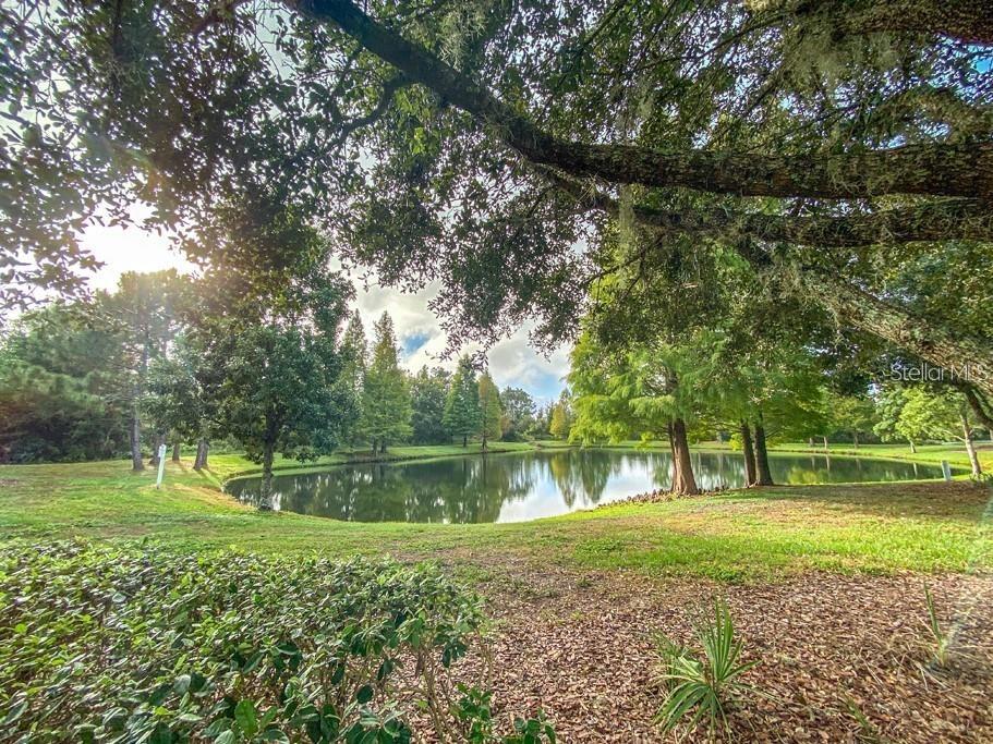 2854 HILLIARD DR, WESLEY CHAPEL, FL, 33543