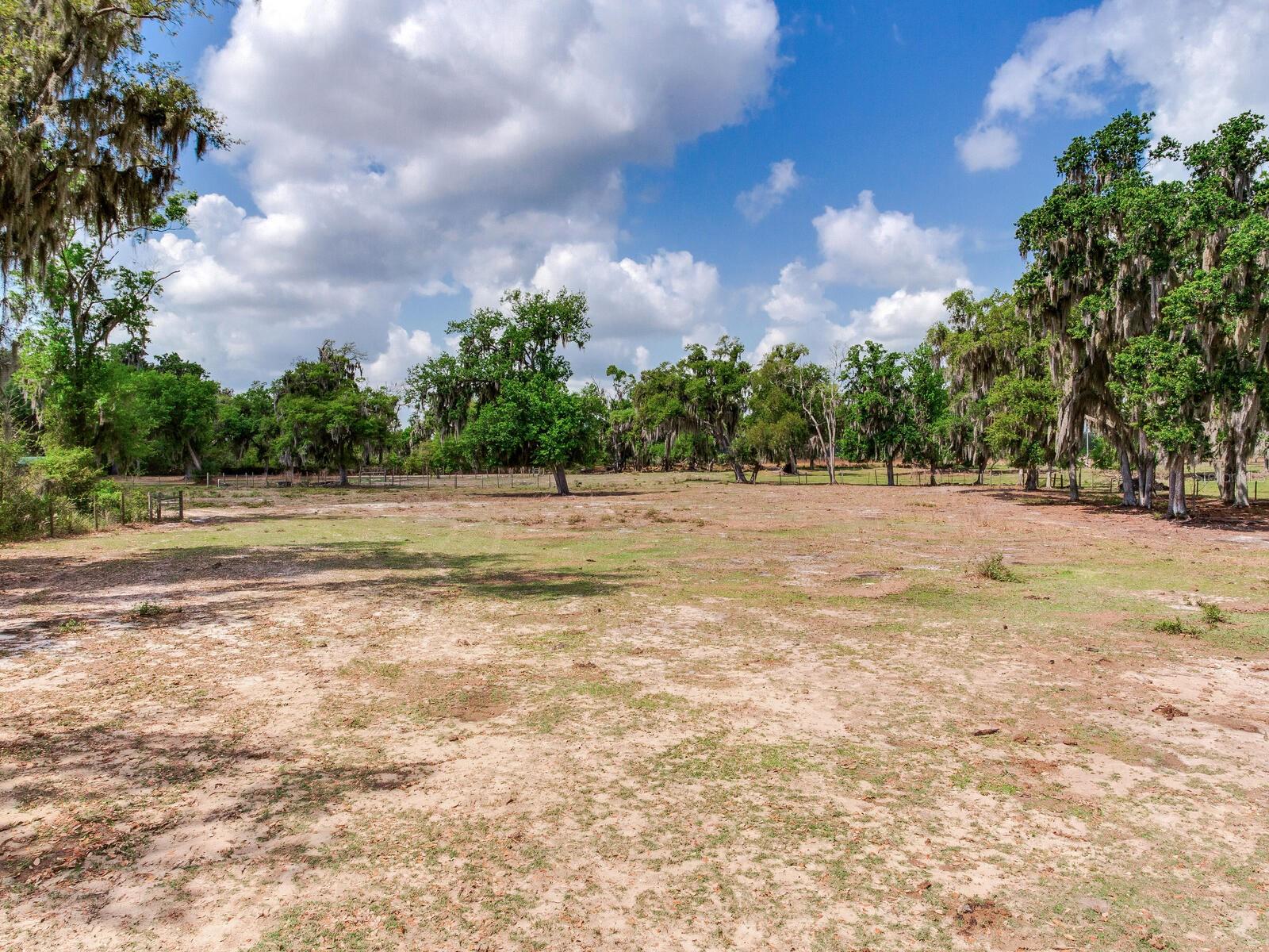 9819 ALLEN RD, LITHIA, FL, 33547