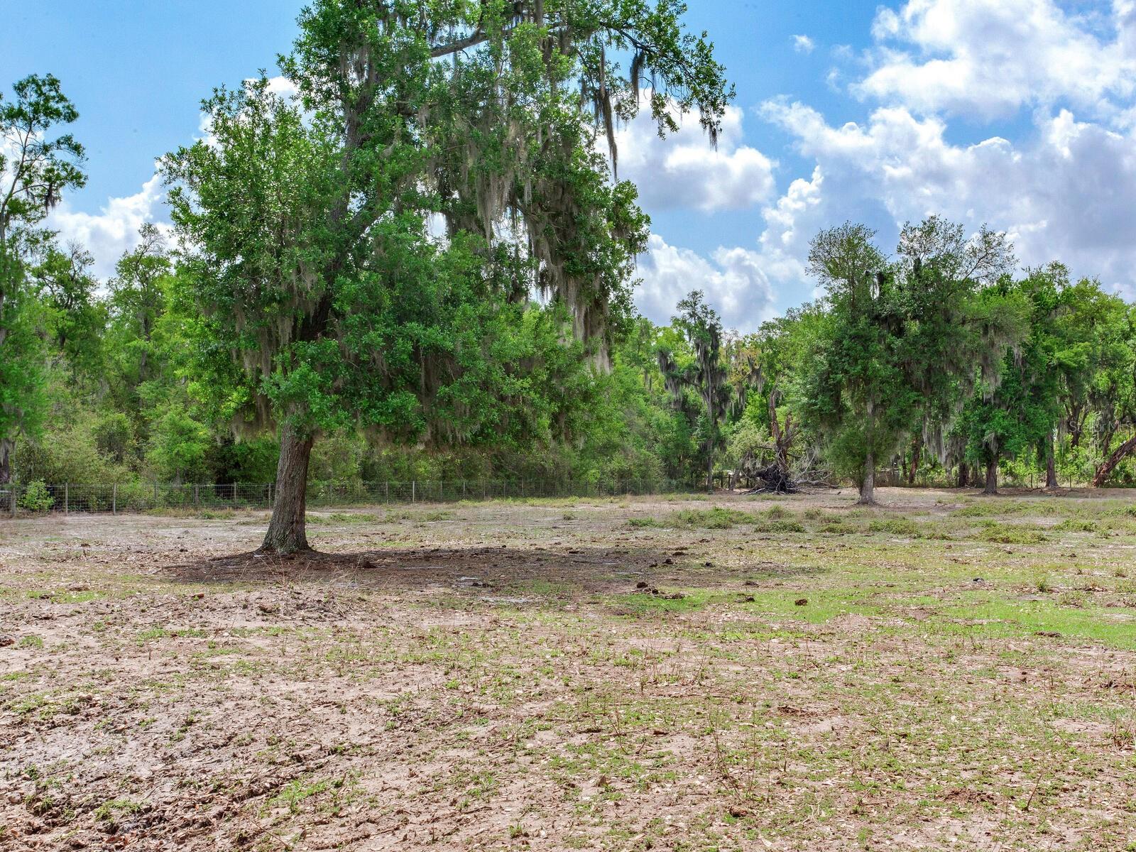 9819 ALLEN RD, LITHIA, FL, 33547