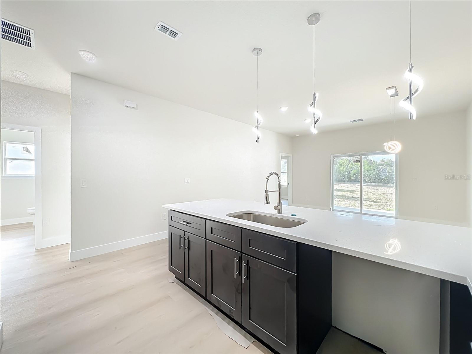 356 W 4TH ST, APOPKA, FL, 32703