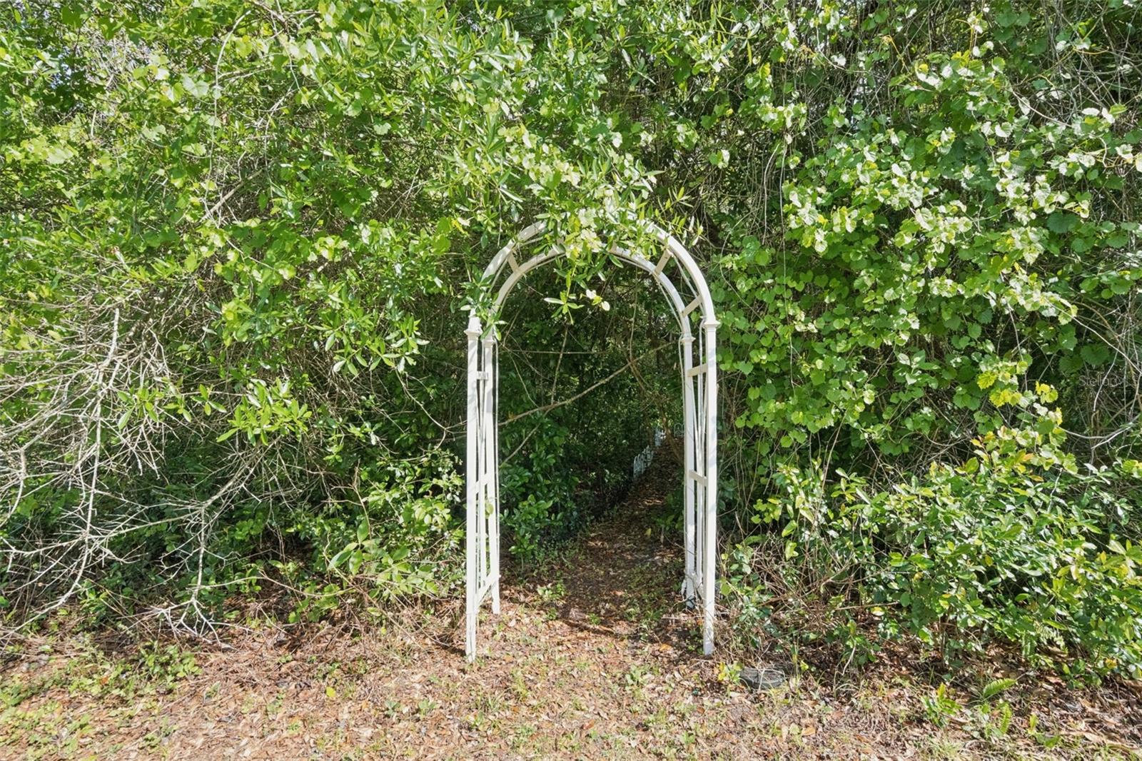 3501 HILL STREAM AVE, APOPKA, FL, 32712