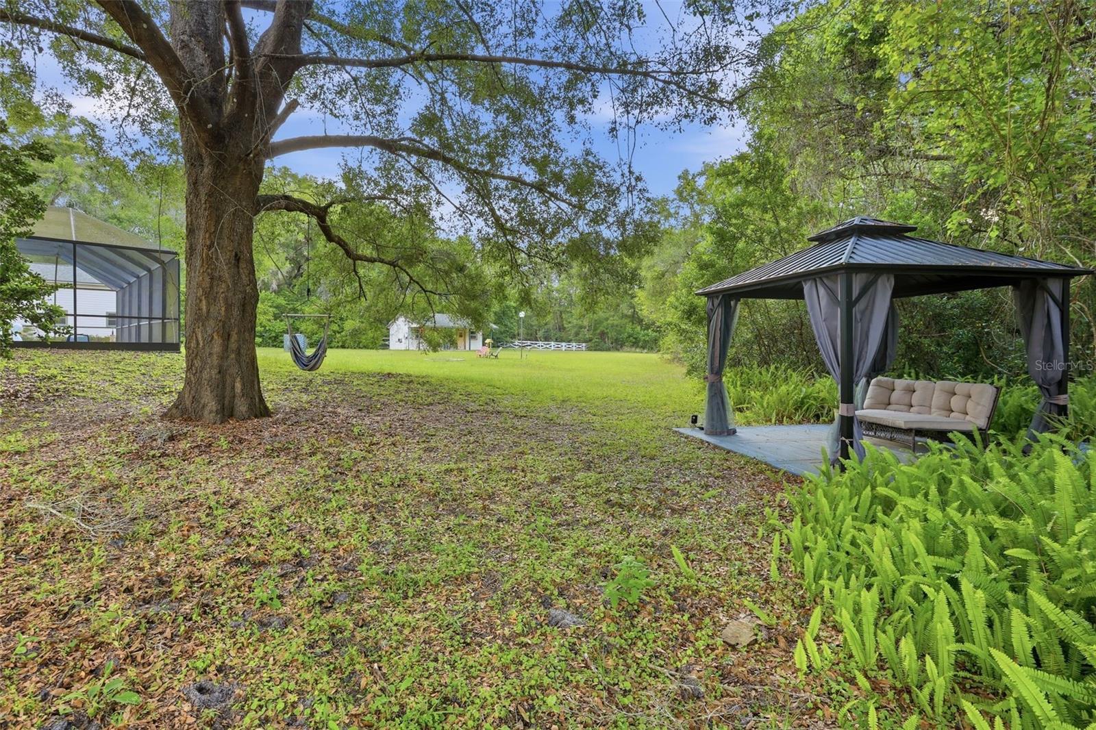 3501 HILL STREAM AVE, APOPKA, FL, 32712