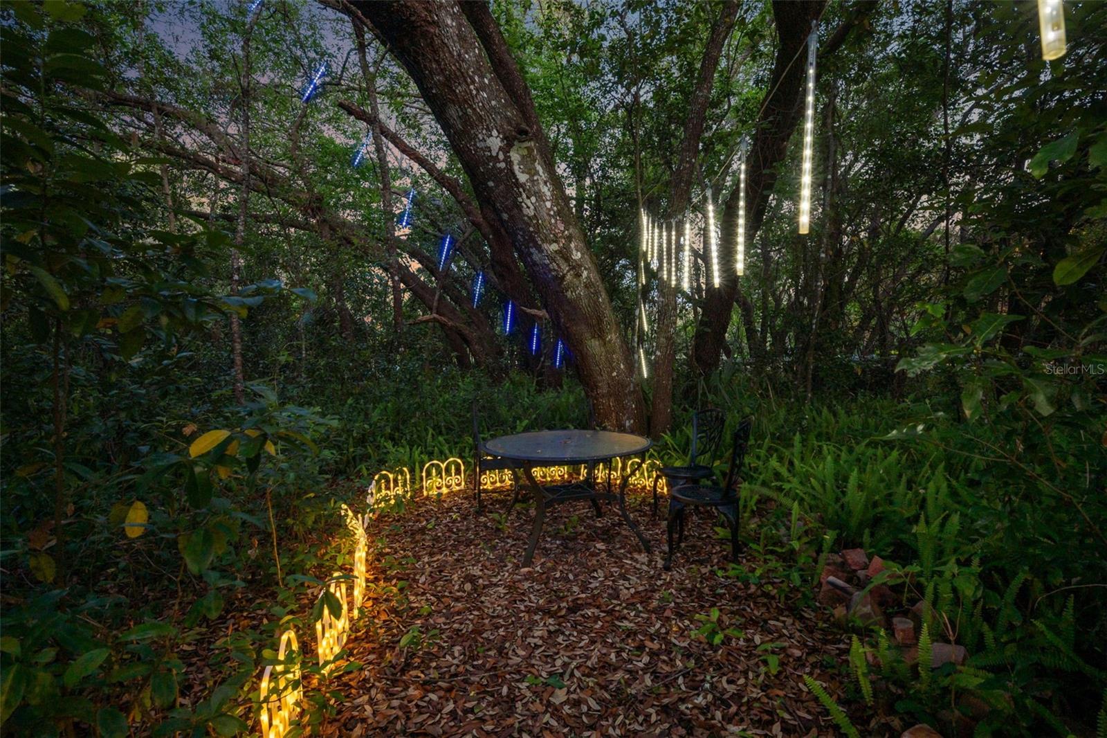 3501 HILL STREAM AVE, APOPKA, FL, 32712