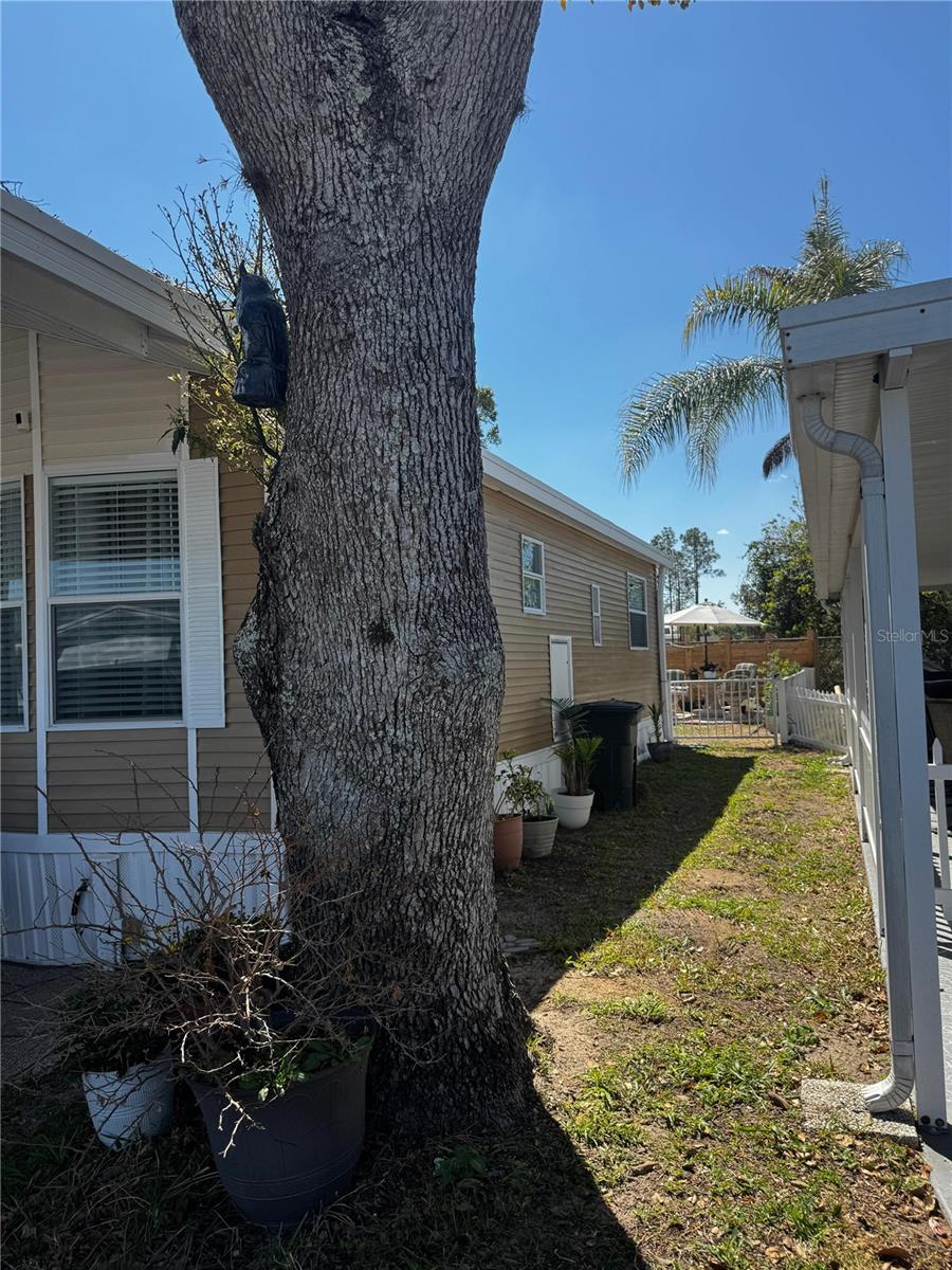 123 PANSY ST, DAVENPORT, FL, 33837