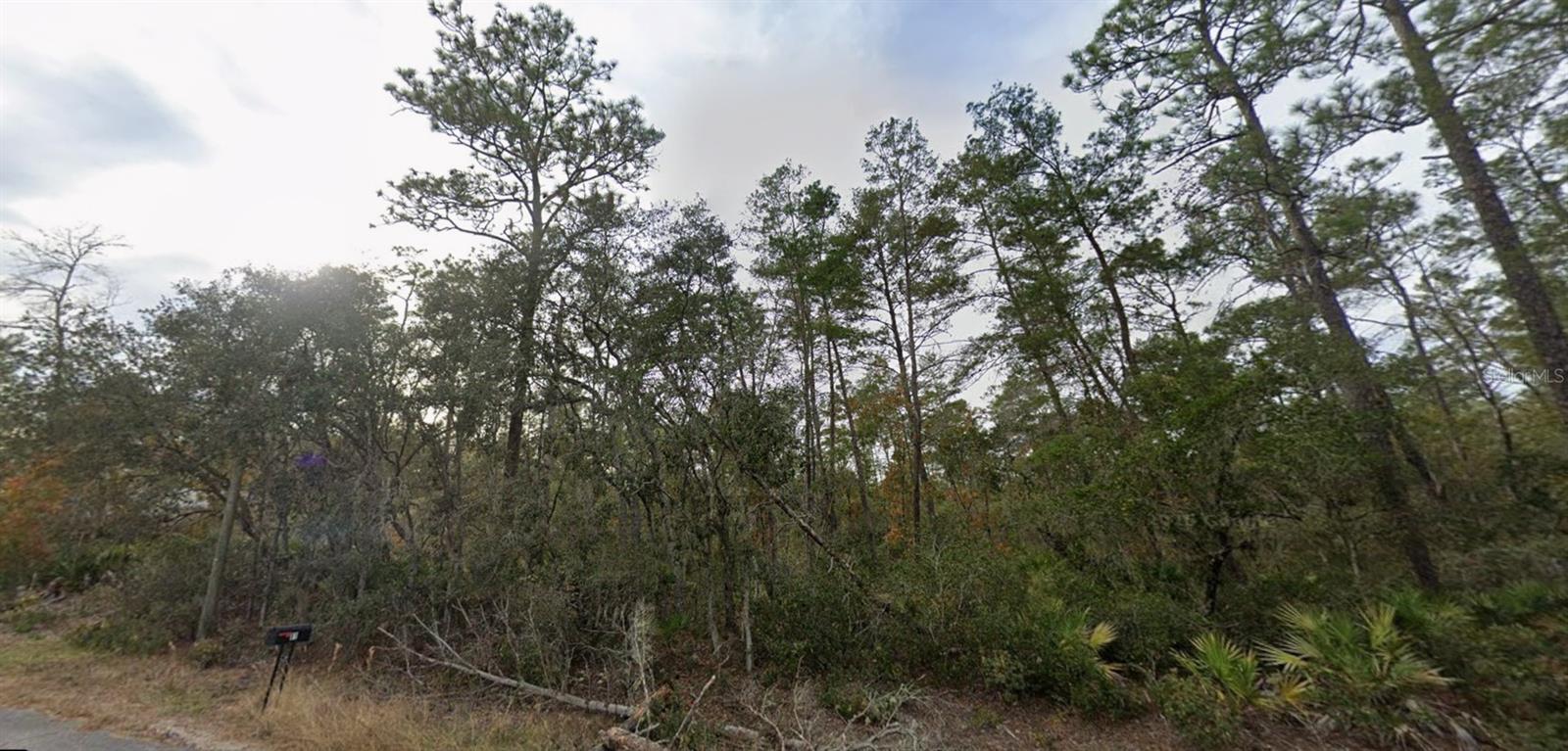 Lot 22 FISHER WAY TRAK, OCKLAWAHA, FL, 32179