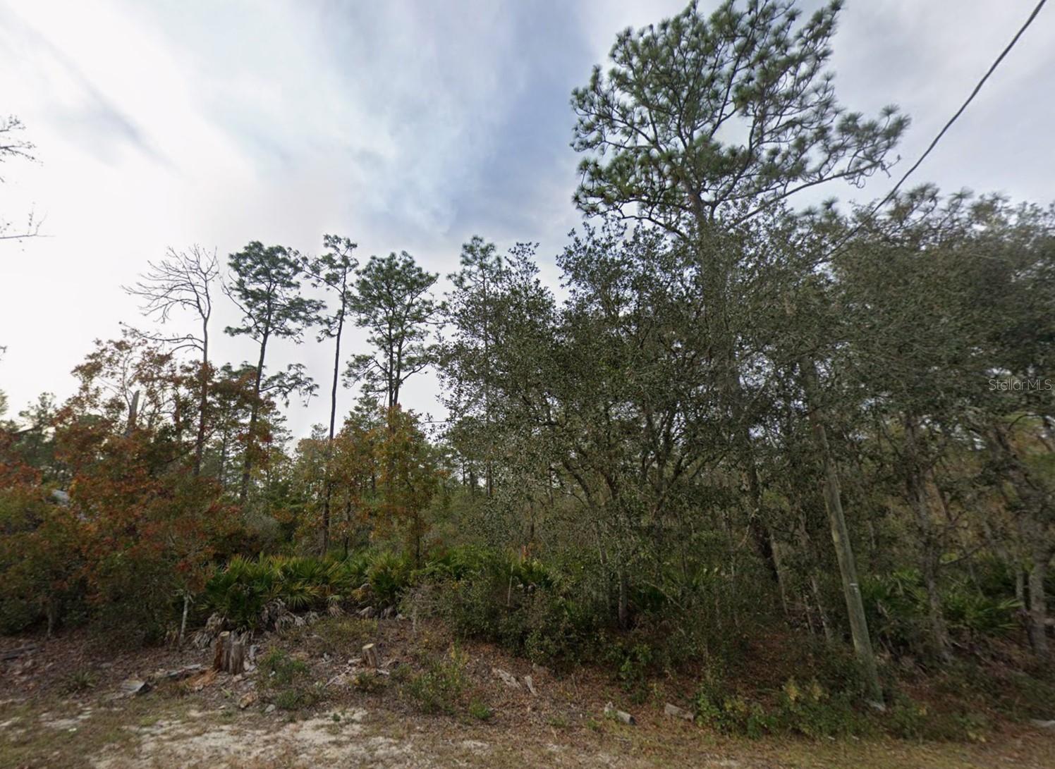 Lot 22 FISHER WAY TRAK, OCKLAWAHA, FL, 32179