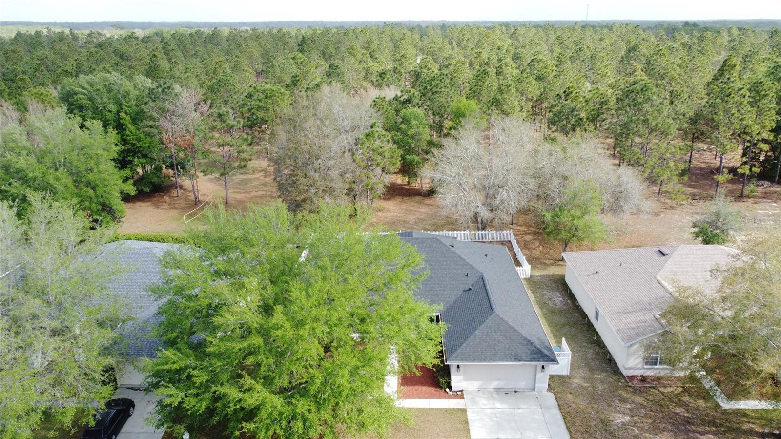31249 SATINLEAF RUN, BROOKSVILLE, FL, 34602