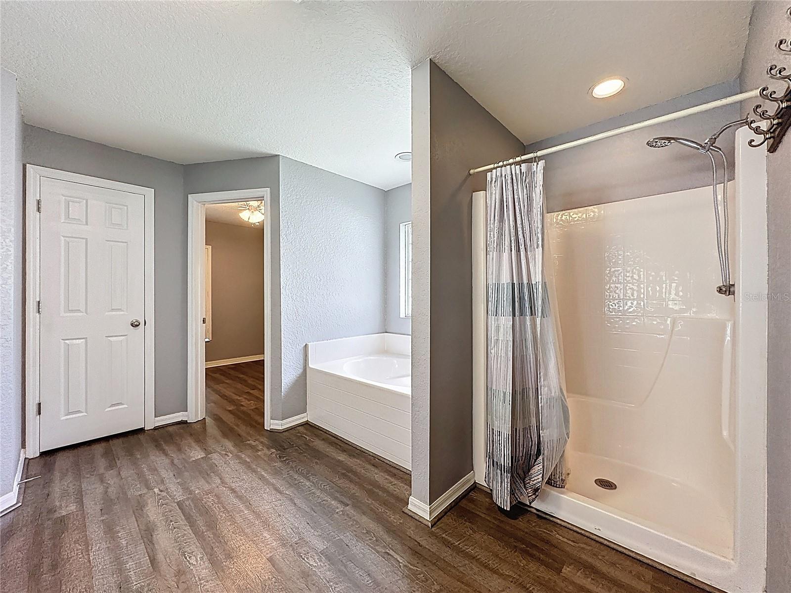 31249 SATINLEAF RUN, BROOKSVILLE, FL, 34602