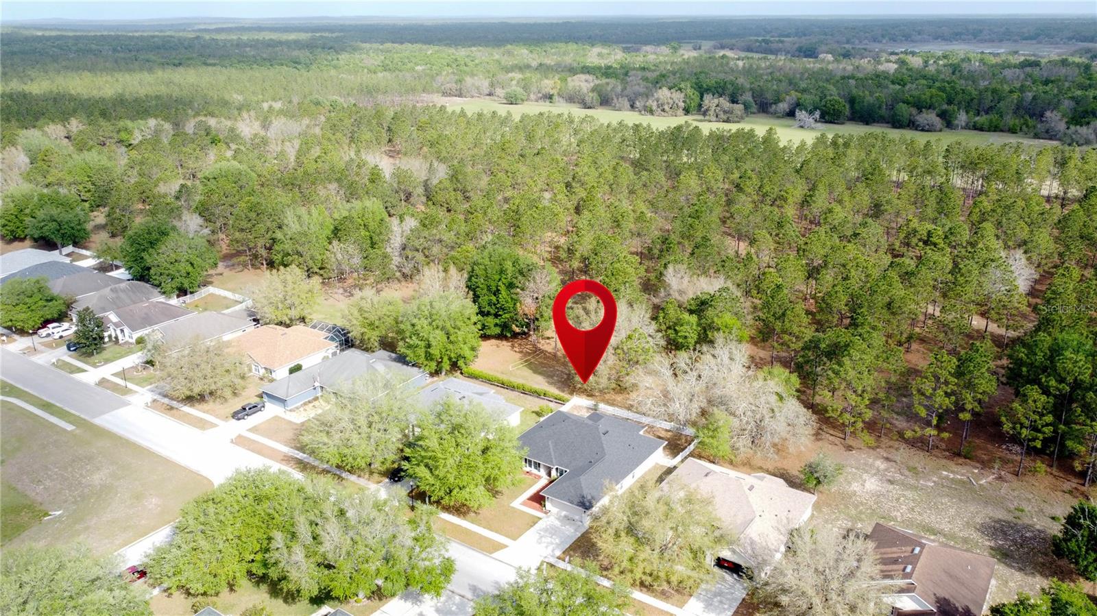 31249 SATINLEAF RUN, BROOKSVILLE, FL, 34602