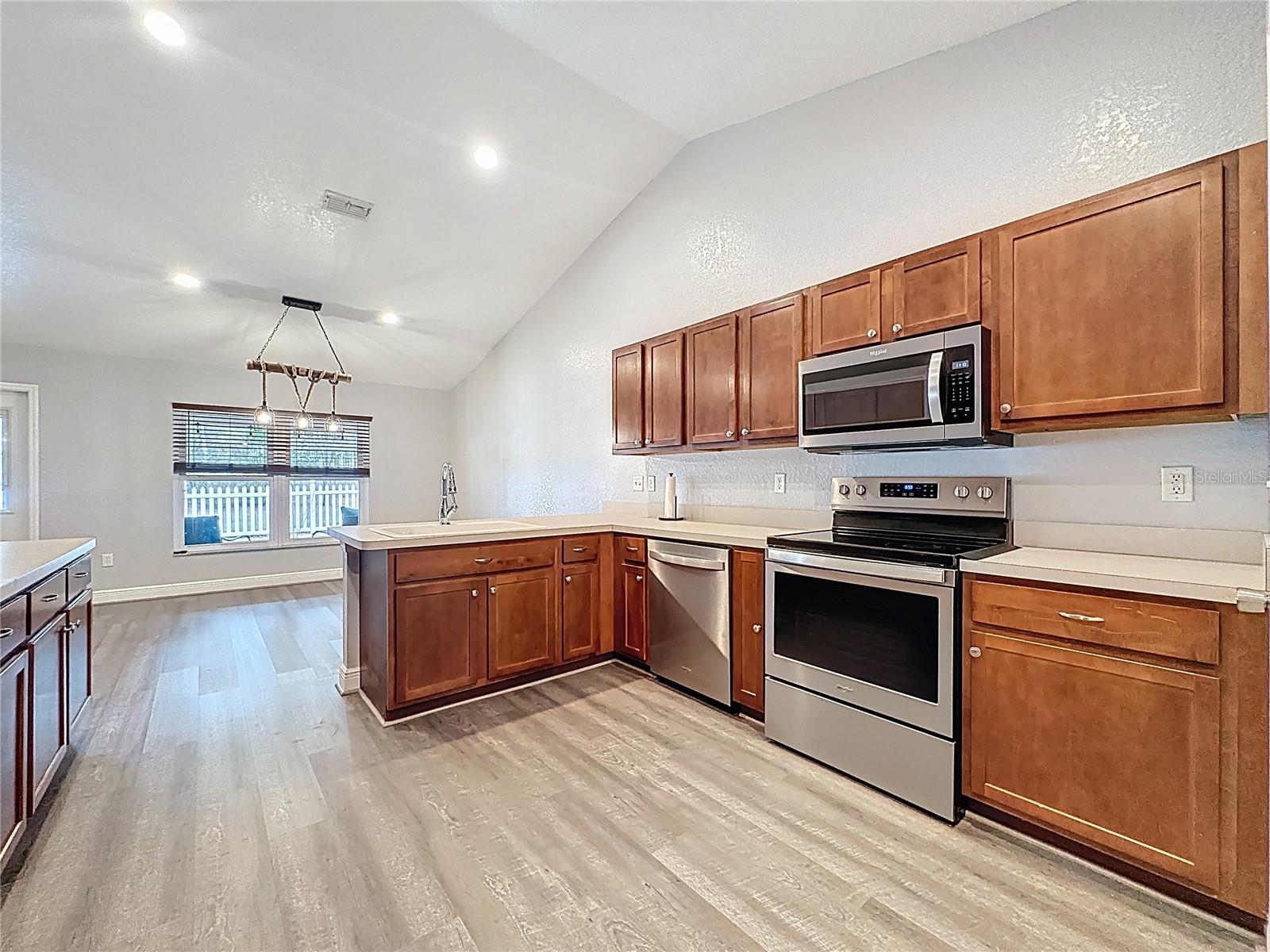 31249 SATINLEAF RUN, BROOKSVILLE, FL, 34602