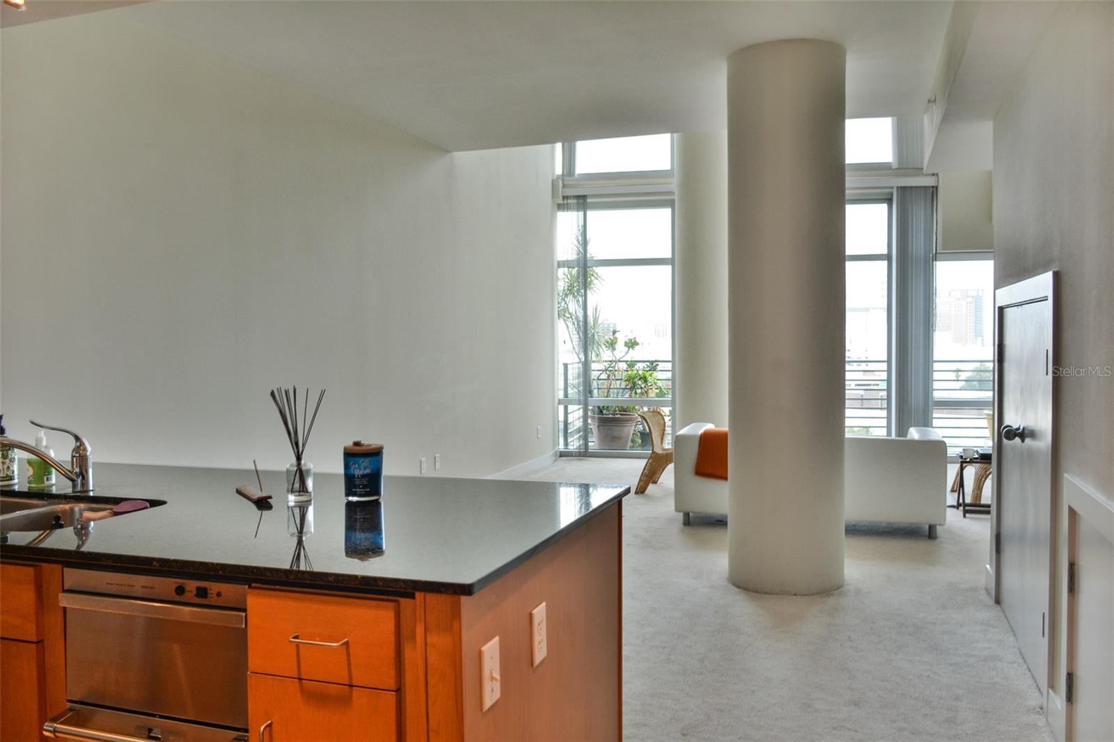 1120 E KENNEDY BLVD #915, TAMPA, FL, 33602