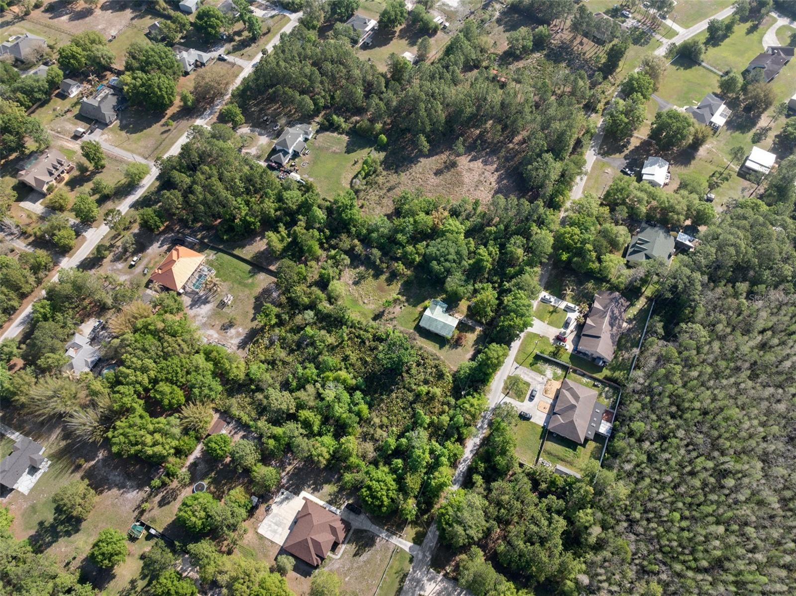 26307 LAWRENCE AVE, WESLEY CHAPEL, FL, 33544