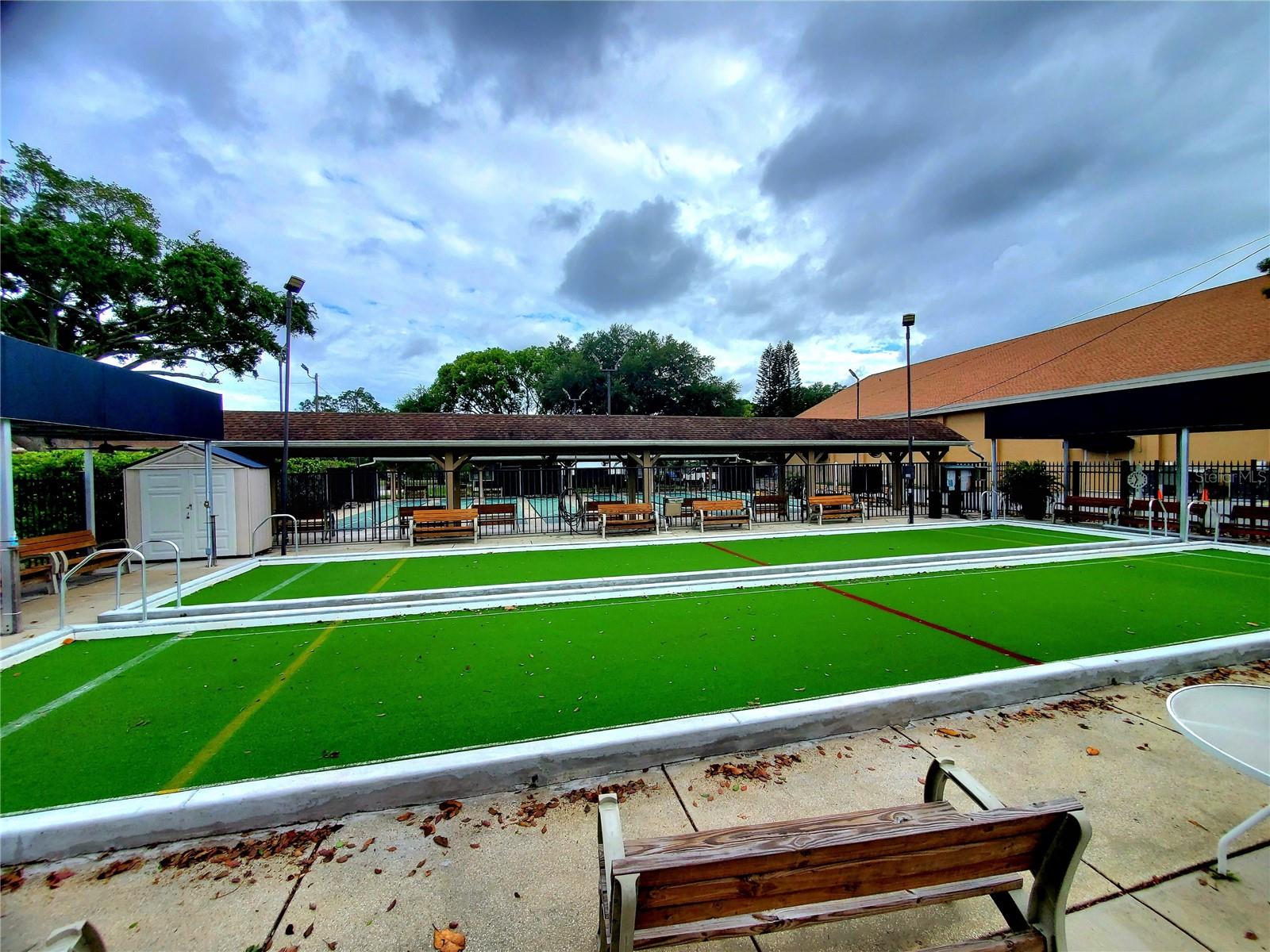 1637 CALEDONIA DR, PALM HARBOR, FL, 34684