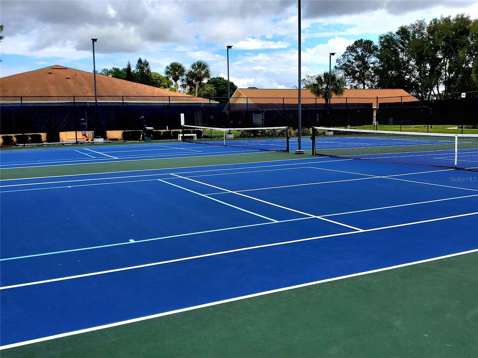 1637 CALEDONIA DR, PALM HARBOR, FL, 34684