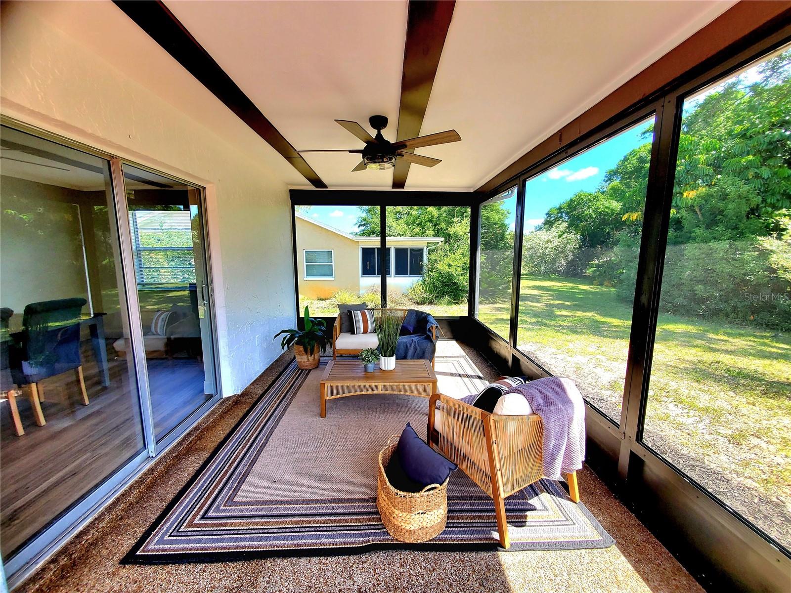 1637 CALEDONIA DR, PALM HARBOR, FL, 34684