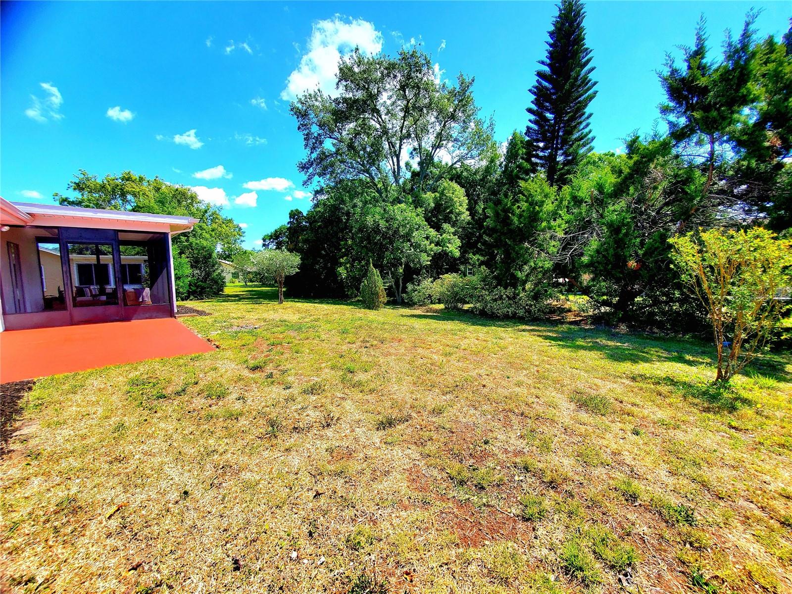 1637 CALEDONIA DR, PALM HARBOR, FL, 34684