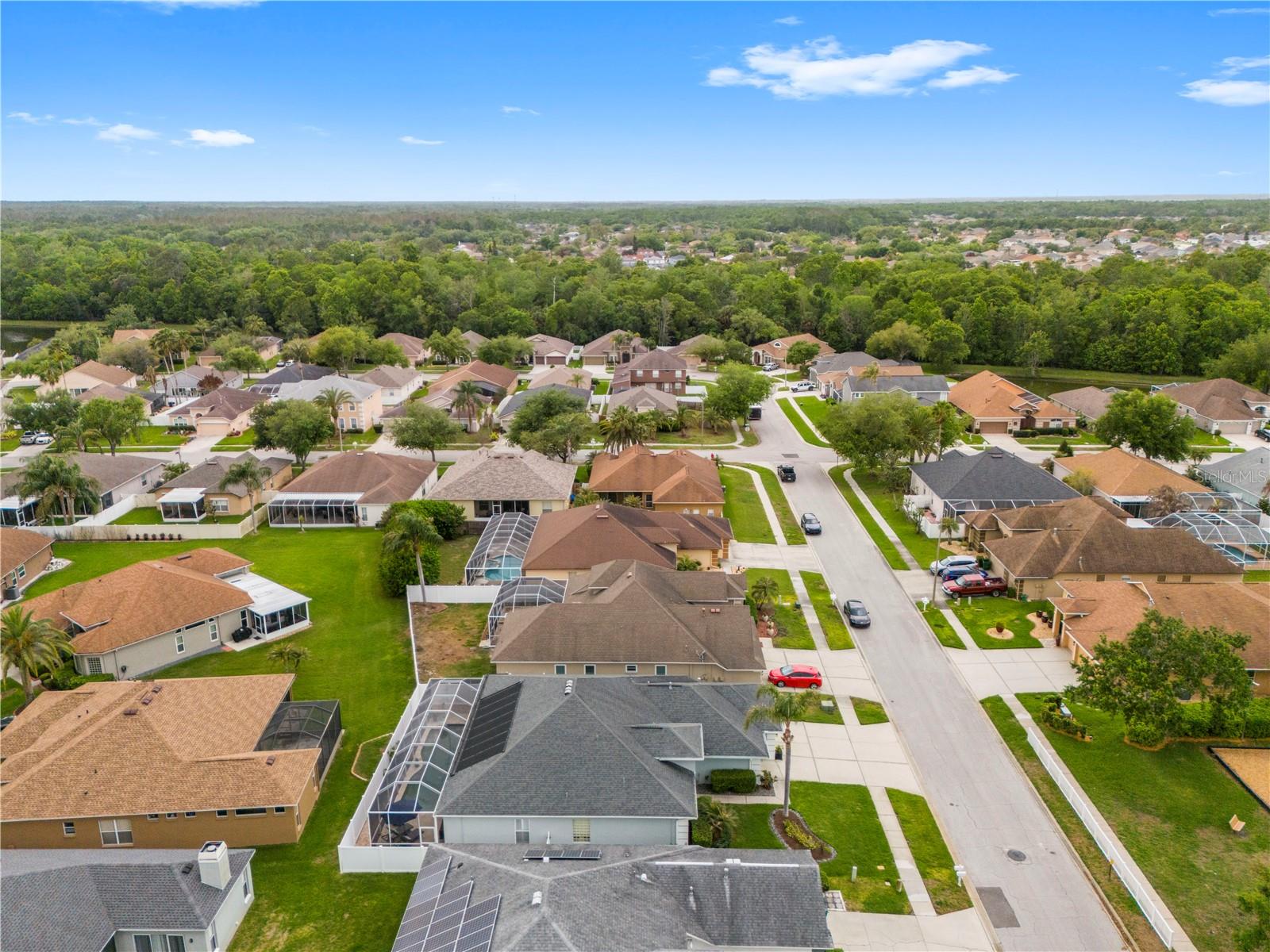 1352 BIG CREEK DR, WESLEY CHAPEL, FL, 33544