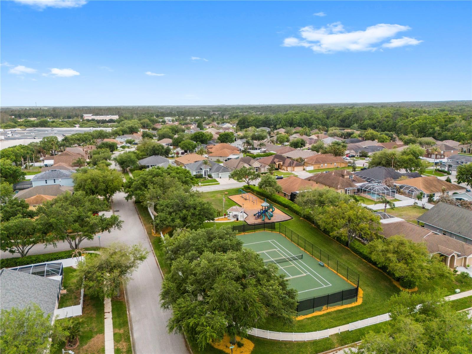 1352 BIG CREEK DR, WESLEY CHAPEL, FL, 33544